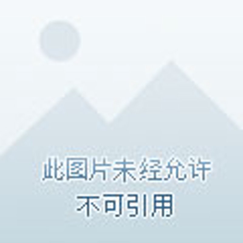 如何选择最适合自己的南通贸易公司？——从多个维度做横向对比